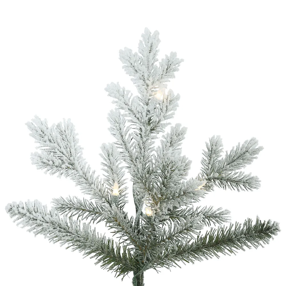 10' Frosted Eastern Fraser Fir Artificial Christmas Tree Clear Dura-lit Lights