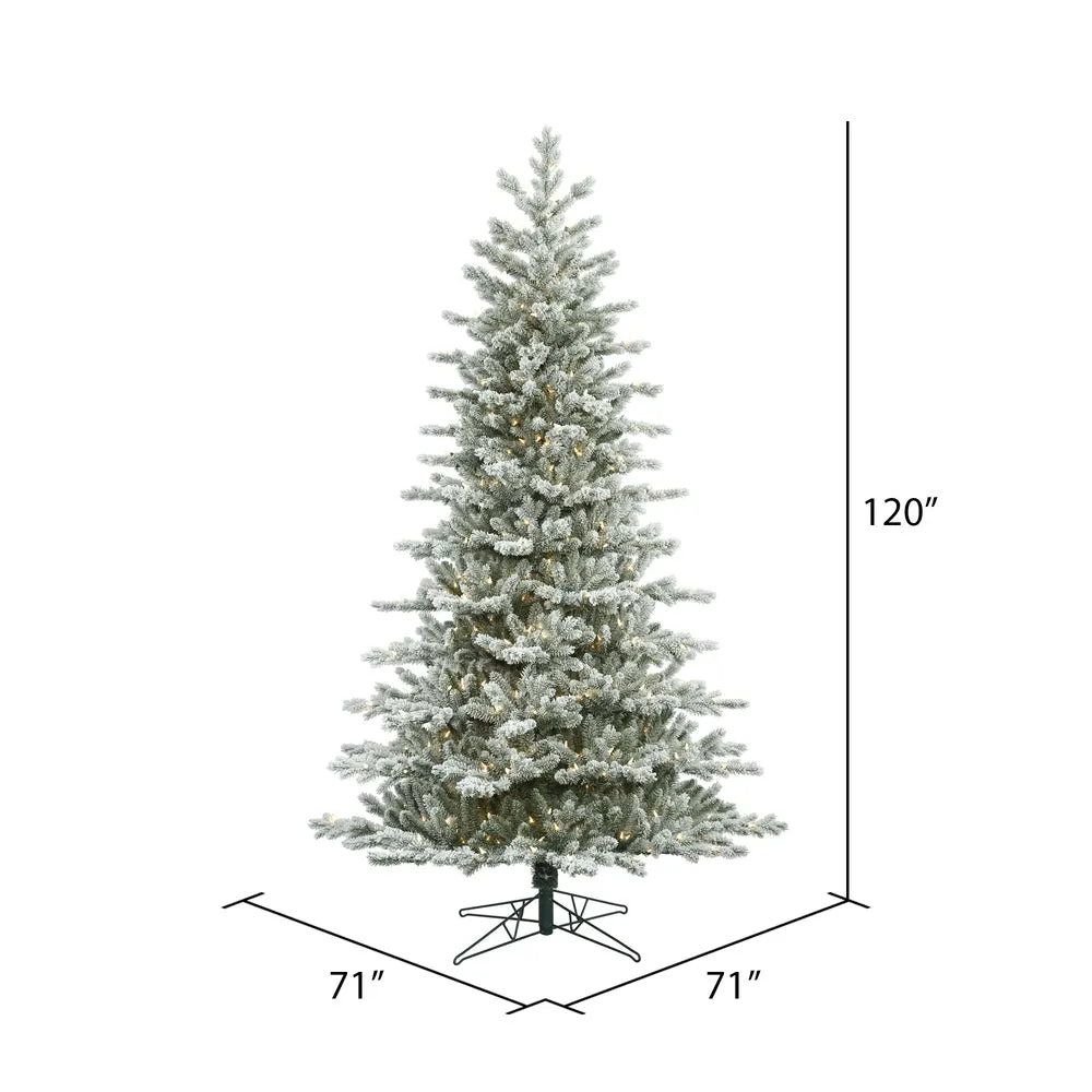 10' Frosted Eastern Fraser Fir Artificial Christmas Tree Clear Dura-lit Lights