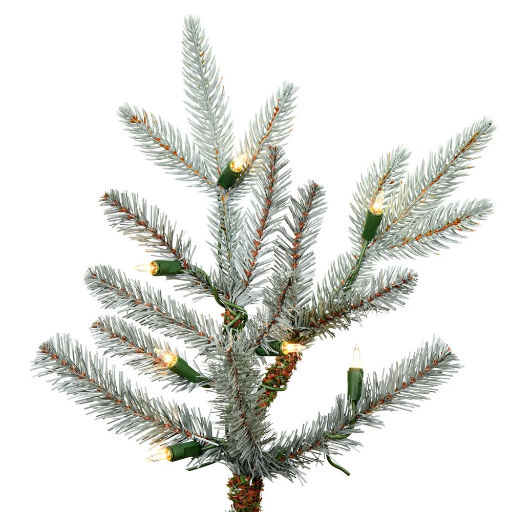 10' x 74" Douglas Blue Fir Artificial Christmas Tree Clear Dura-lit Lights