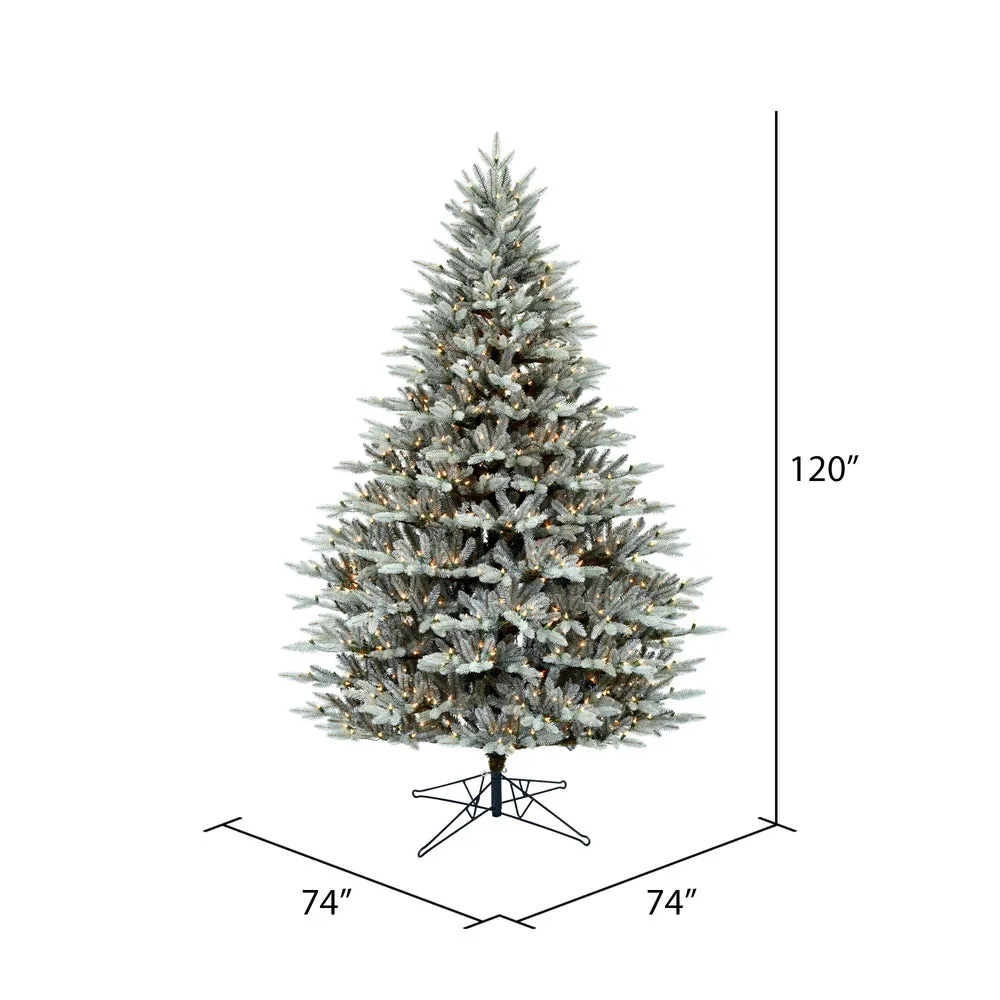 10' x 74" Douglas Blue Fir Artificial Christmas Tree Clear Dura-lit Lights