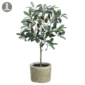 1'7" Olive Silk Tree w/Clay Pot -Green/Burgundy (pack of 6)