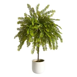 2' Northern Californian Cedar Canopy Artificial Tree in Decorative Planter