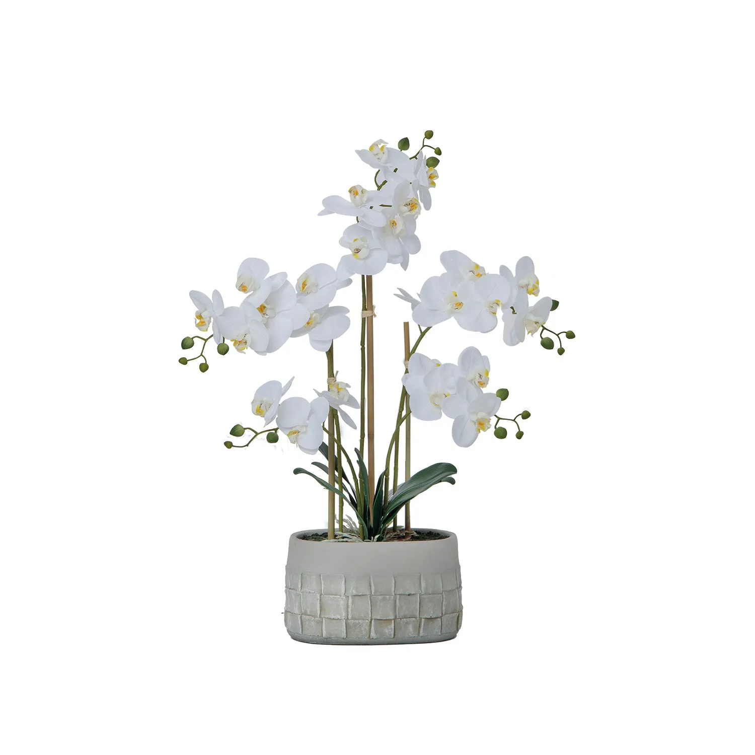 27" White Orchid Arrangement in a Grey Stonelike Planter | Real Touch White Moth Orchids in a Grey Planter