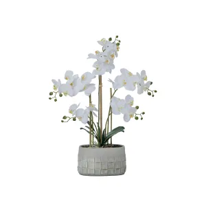 27" White Orchid Arrangement in a Grey Stonelike Planter | Real Touch White Moth Orchids in a Grey Planter