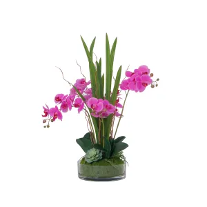 29.5" Purple Orchid Arrangement in a Circular Glass Vase with Undergrowth and Greenery | Real Touch Purple Moth Orchids