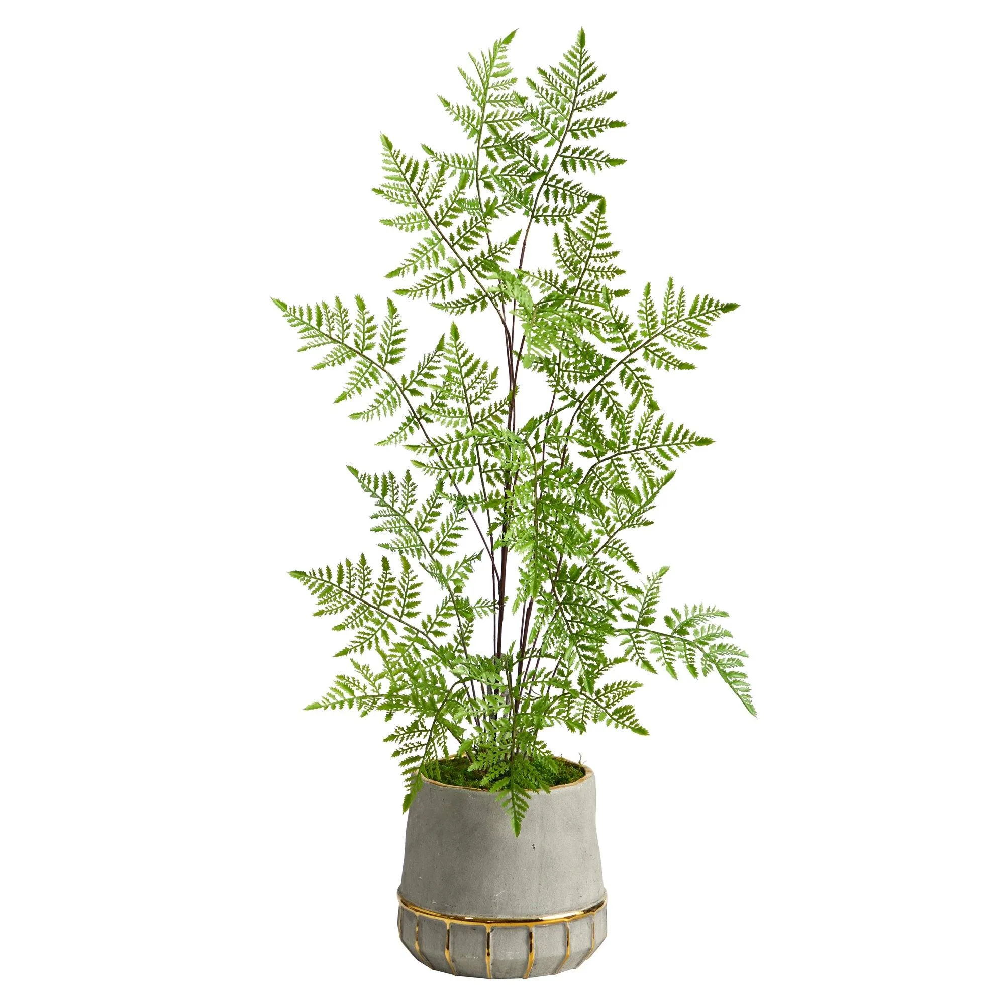 3’ Ruffle Fern Artificial Tree in Stoneware Planter with Gold Trimming