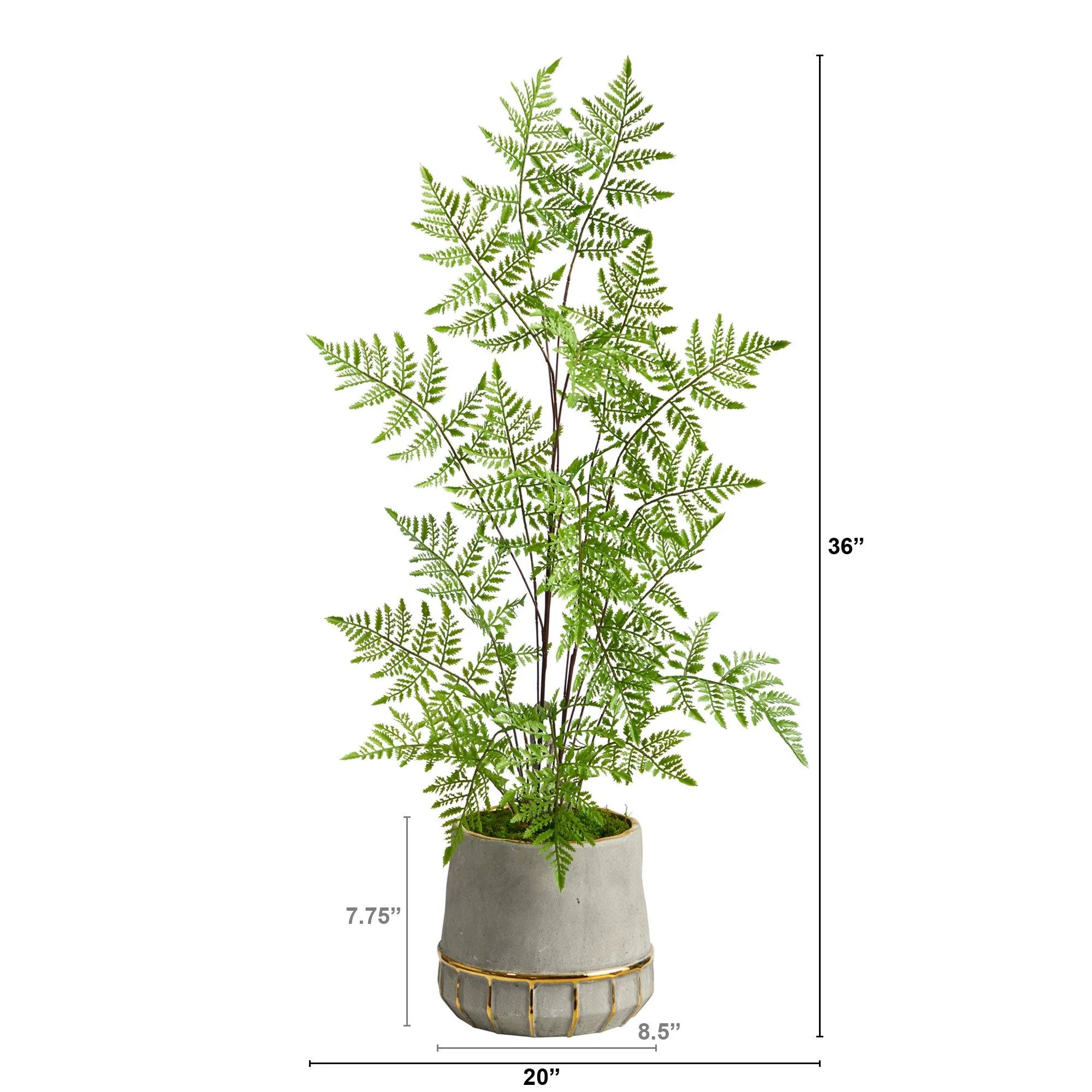 3’ Ruffle Fern Artificial Tree in Stoneware Planter with Gold Trimming