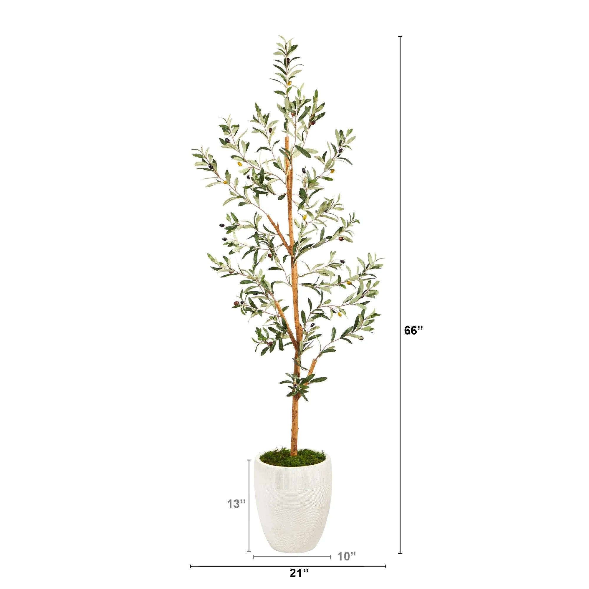 5.5’ Olive Artificial Tree in White Planter