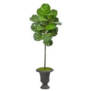 58” Fiddle Leaf Artificial Tree in Charcoal Urn