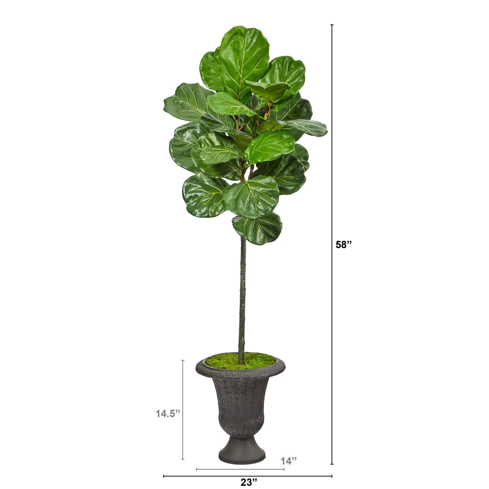 58” Fiddle Leaf Artificial Tree in Charcoal Urn