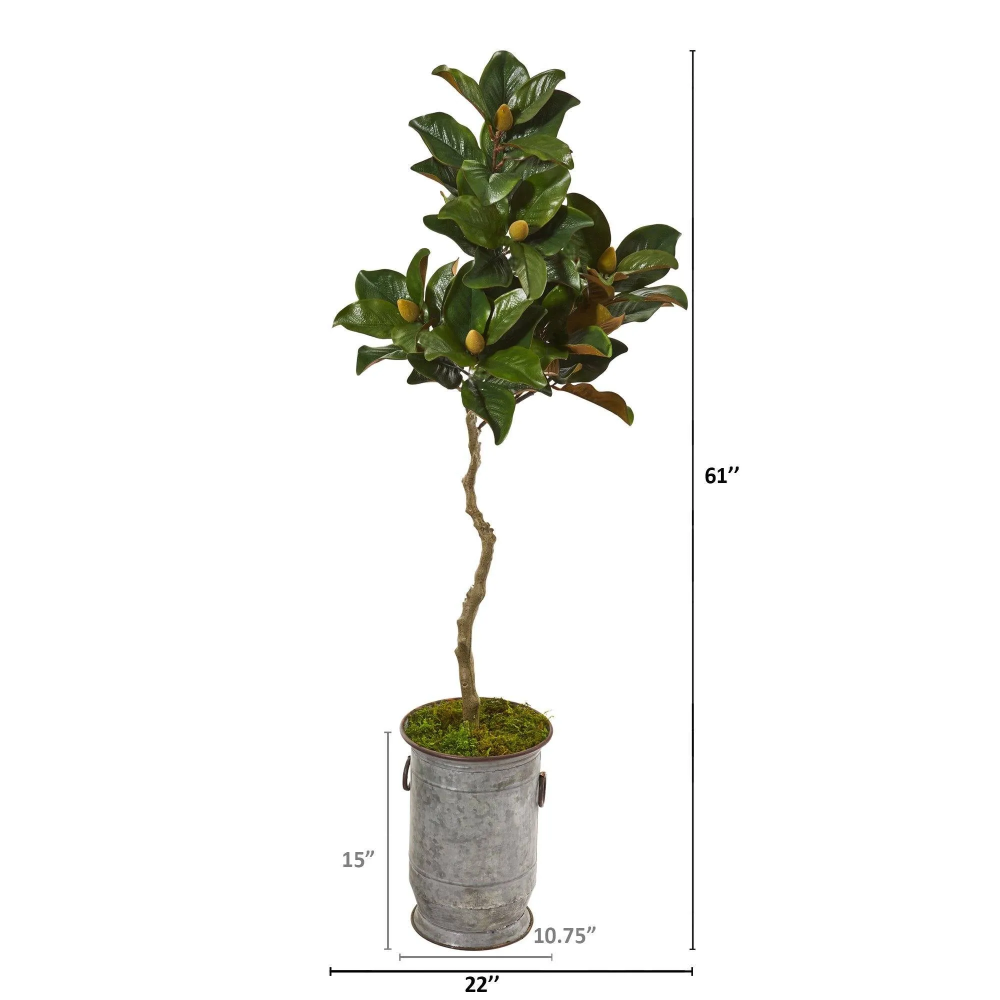 61” Magnolia Artificial Tree in Vintage Metal Planter