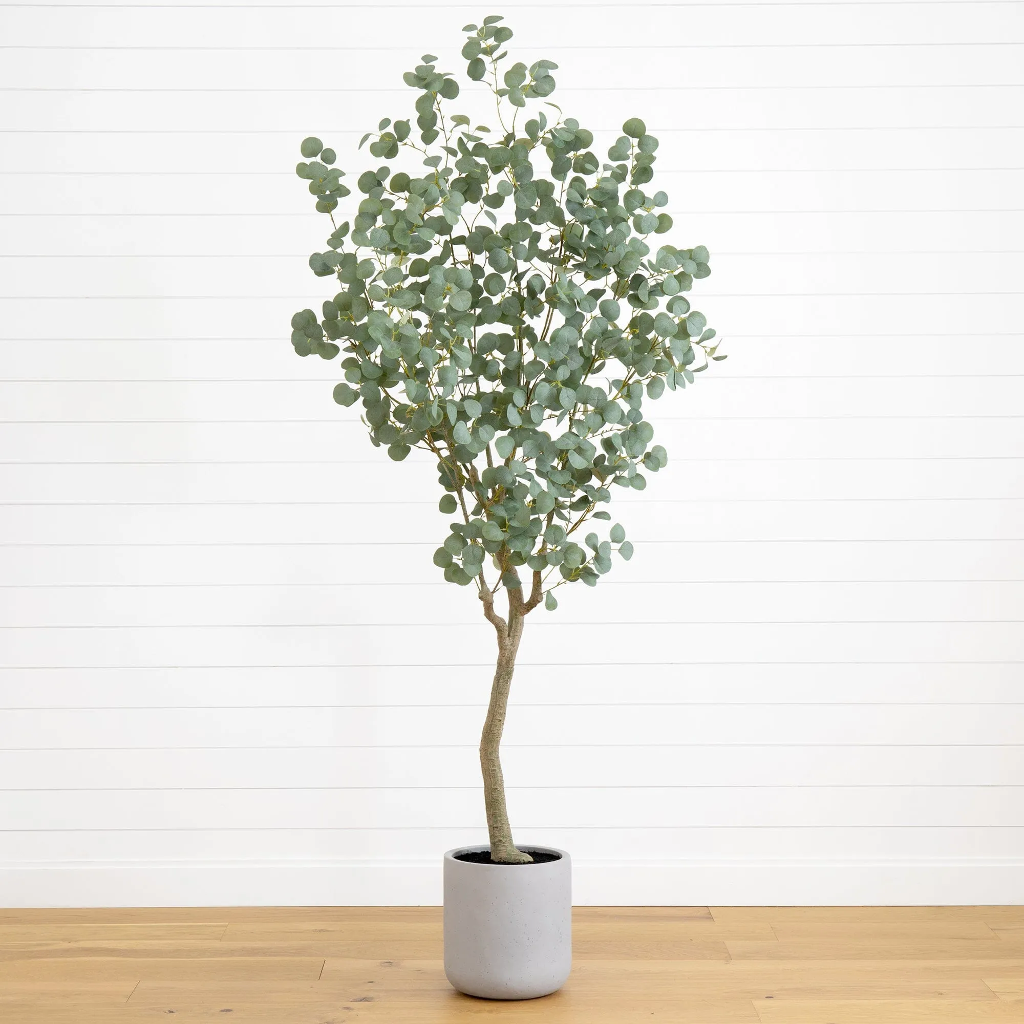 7.5’ Artificial Greco Eucalyptus Tree with Resin Stone Planter