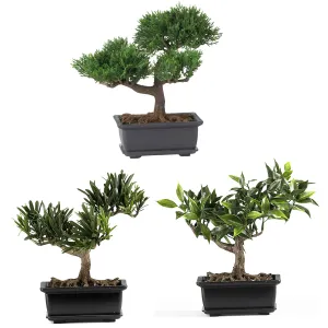 8.5" Artificial Bonsai Silk Plant Collection (Set of 3) - Low Maintenance, Life-Like & Vibrant Silk Trees For Busy People.