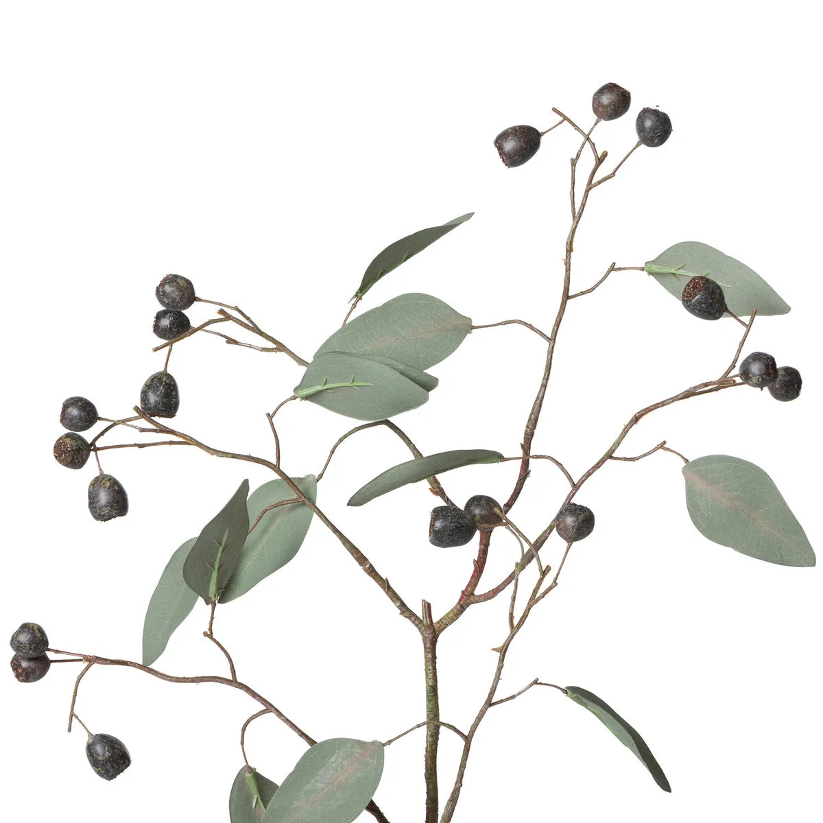 Eucalyptus Spray with Berries