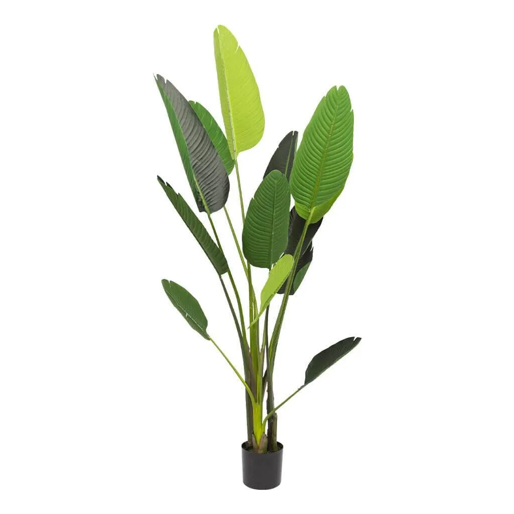 Faux Strelitzia Plant