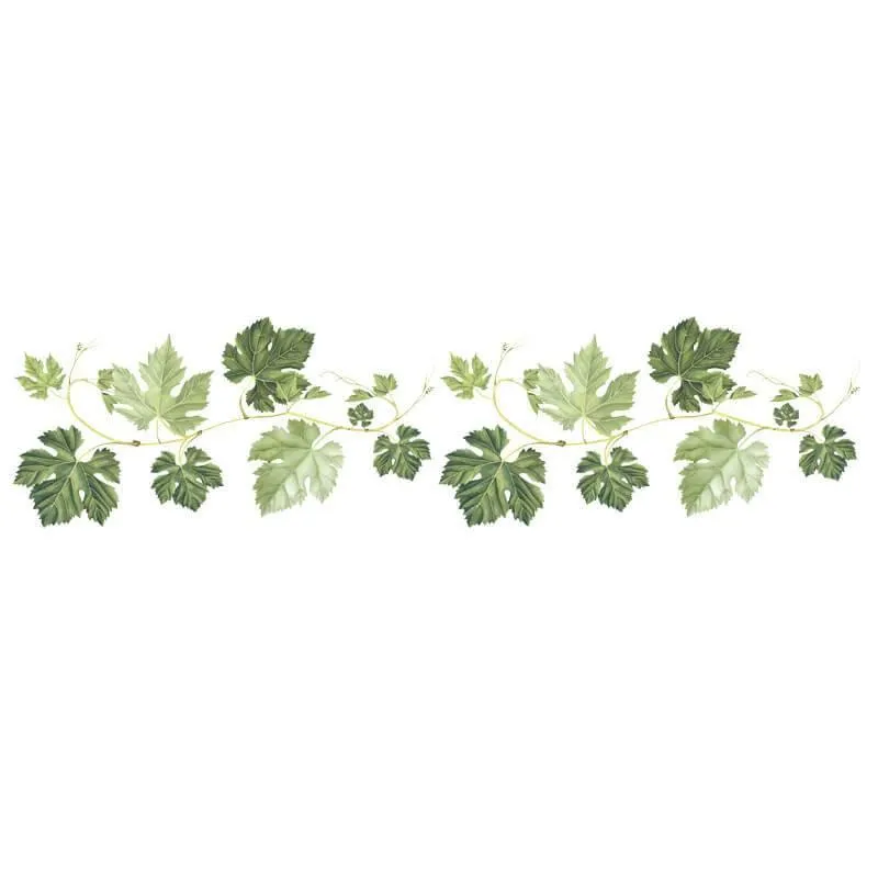 Gourd Leaf Vine Peel and Stick Wall Decals