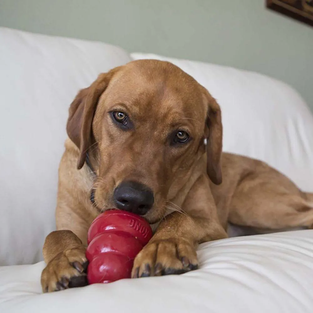 Kong Stuff'N Snacks Liver Recipe Dog Treats