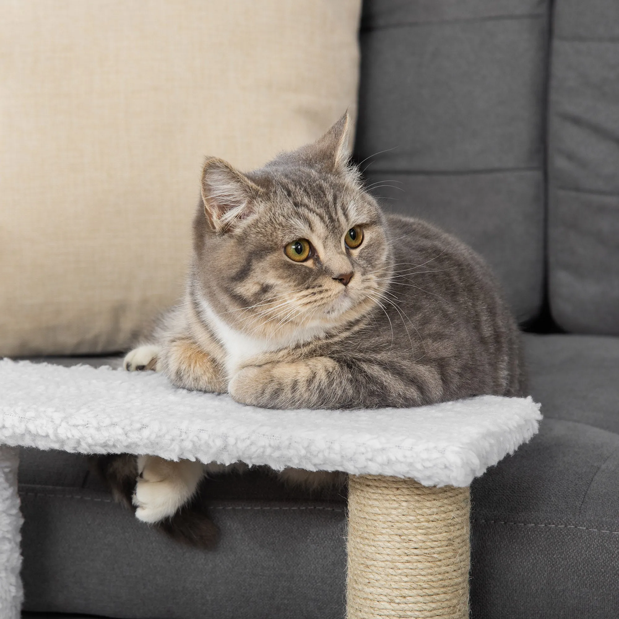 Pet Stair with 3-step Climb Ladder, Scratching Posts, White