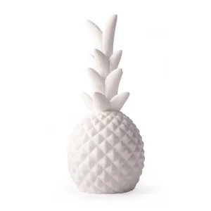 Pineapple LED Light