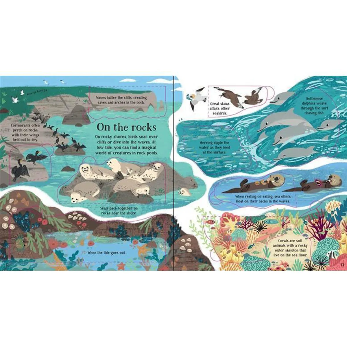 Usborne look inside nature