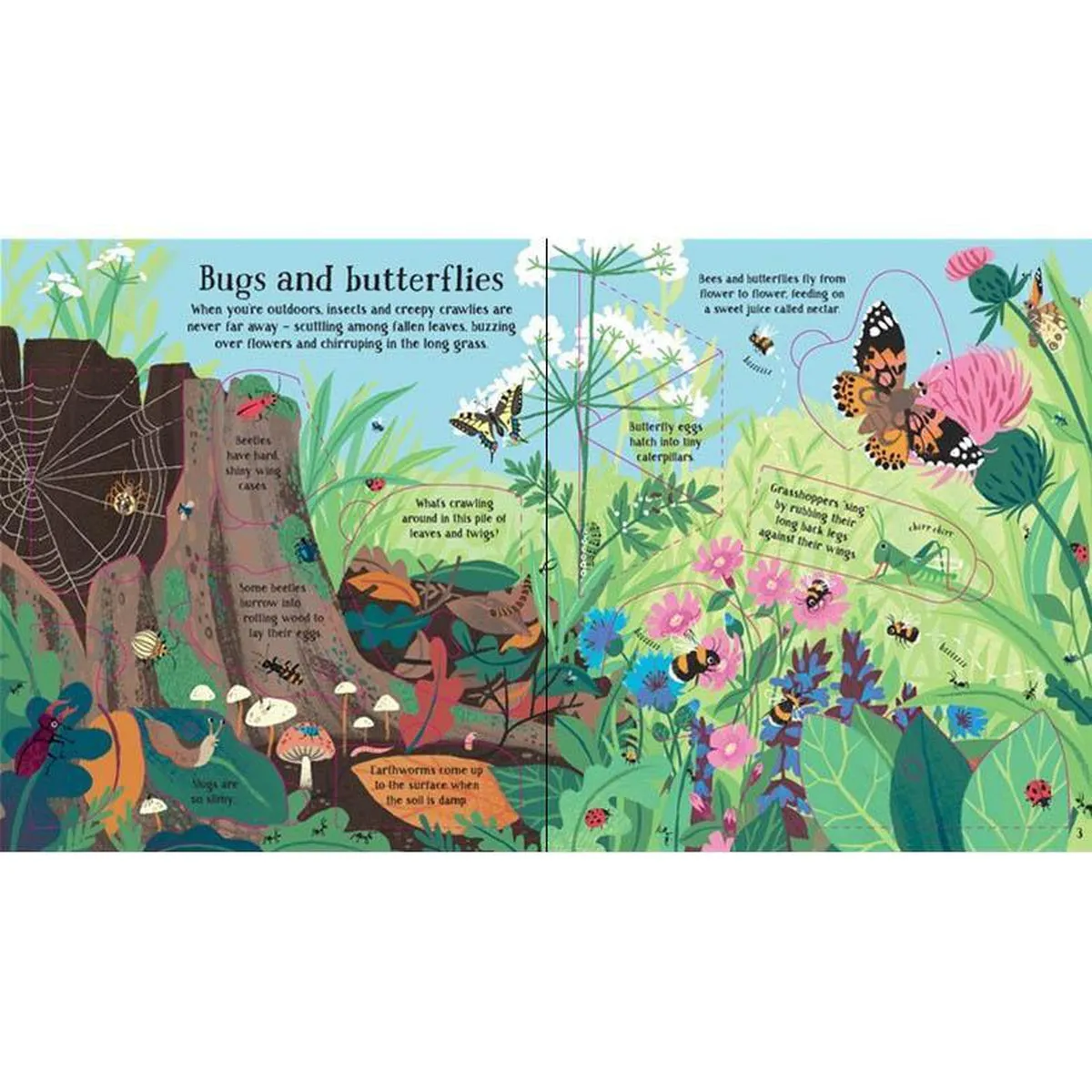 Usborne look inside nature